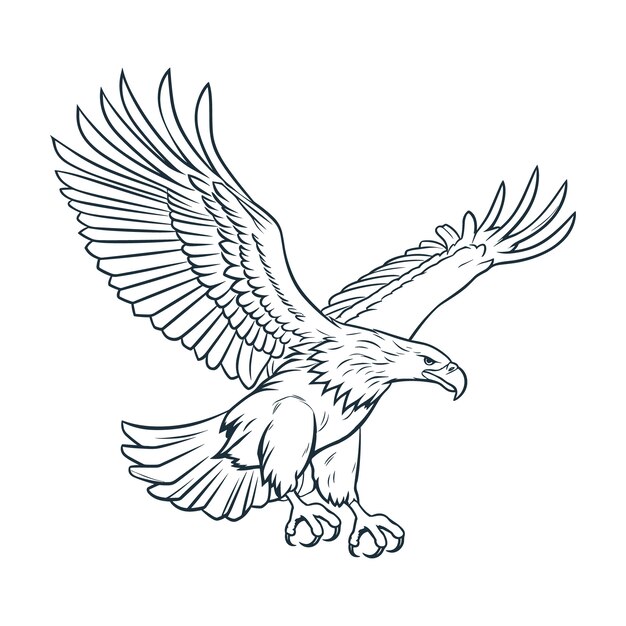 Illustration de dessin volant aigle dessiné à la main