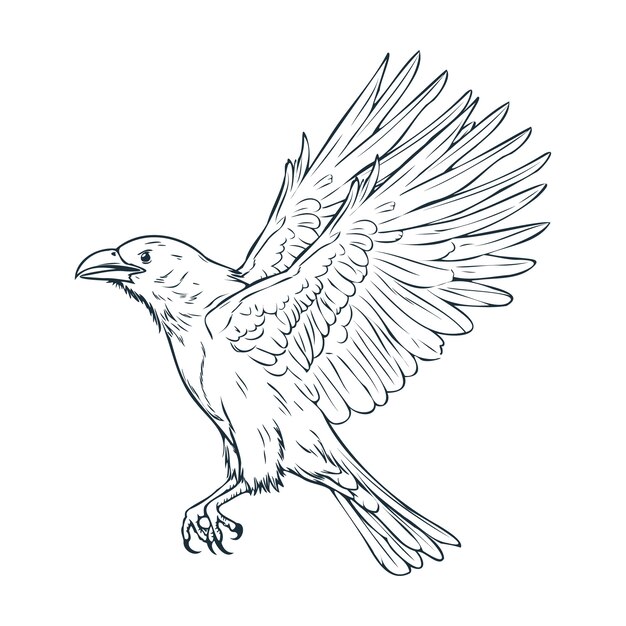Illustration de dessin volant de corbeau dessiné à la main