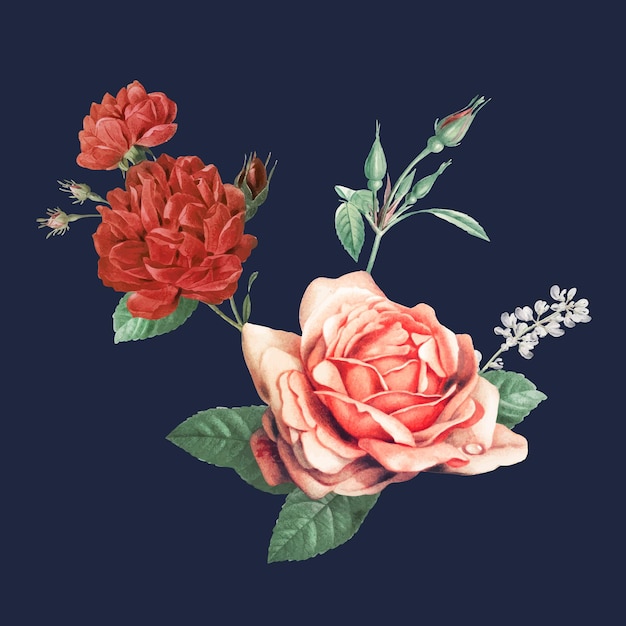 Illustration dessinée à la main de bouquet de roses de vecteur rouge élégant