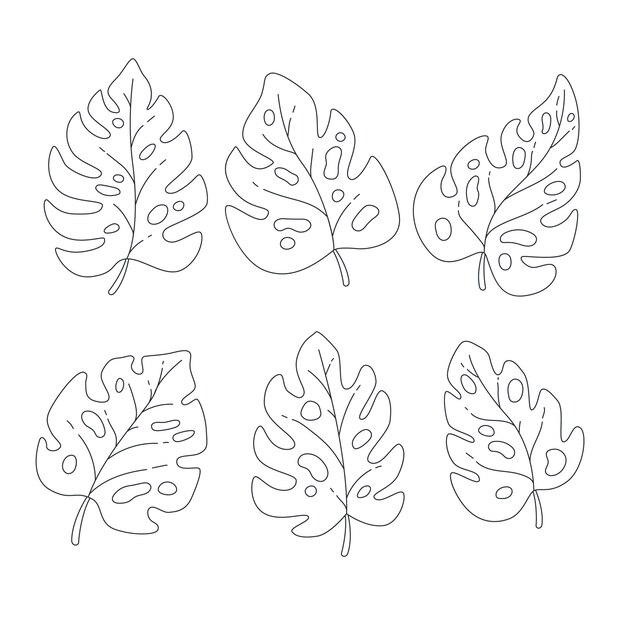 Illustration dessinée à la main du contour de la feuille de monstera