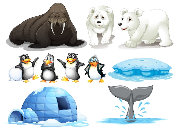 Vecteur gratuit illustration des différents animaux du pôle nord