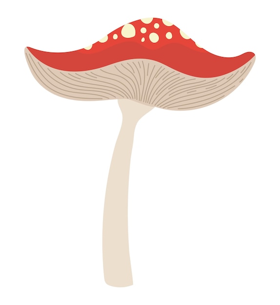 Vecteur gratuit illustration du champignon rouge