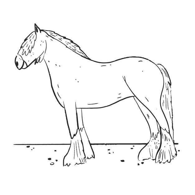 Illustration du contour du cheval dessinée à la main