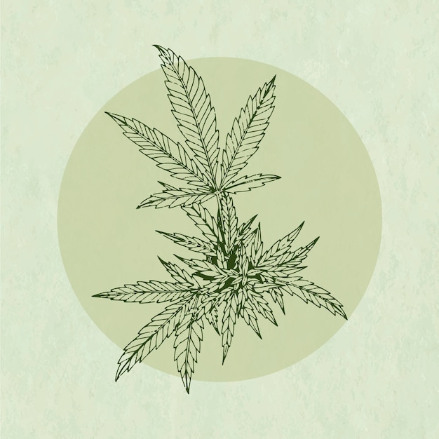 Illustration Du Contour D'une Feuille De Marijuana Dessinée à La Main