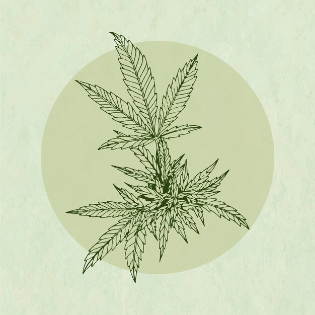 Illustration du contour d'une feuille de marijuana dessinée à la main