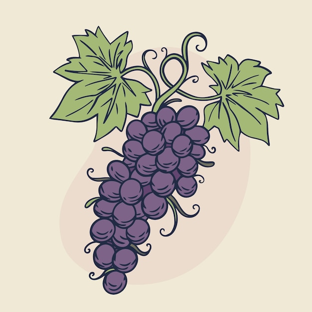 Illustration Du Contour De La Vigne Dessinée à La Main