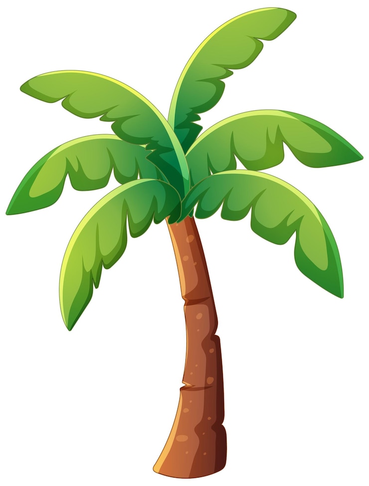 Vecteur gratuit l'illustration du palmier tropical