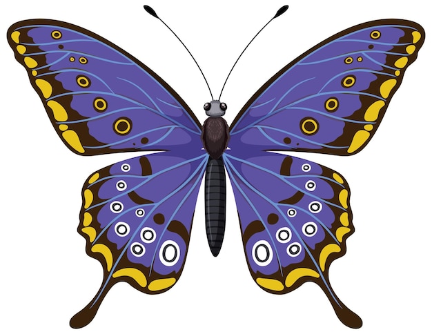 Vecteur gratuit l'illustration du papillon bleu vibrant