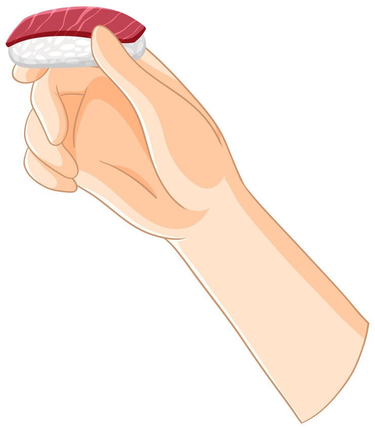 Vecteur gratuit l'illustration du sushi à la main