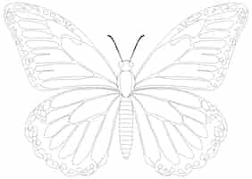 Vecteur gratuit illustration du vecteur du papillon monarque