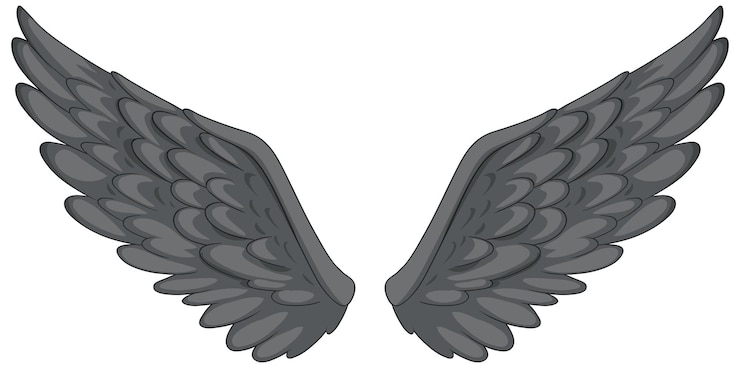 Vecteur gratuit illustration élégante des ailes à plumes grises