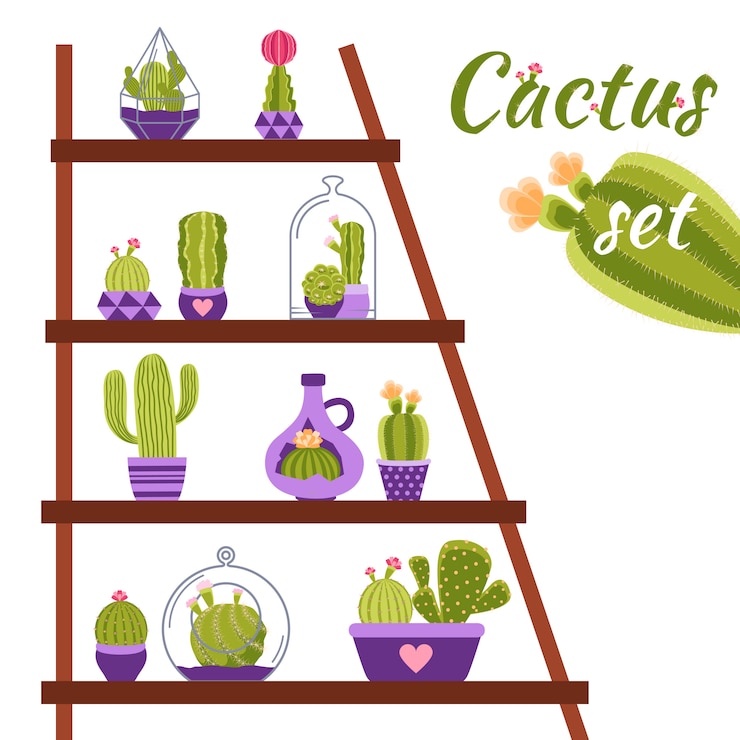 Vecteur gratuit illustration d'étagère de cactus
