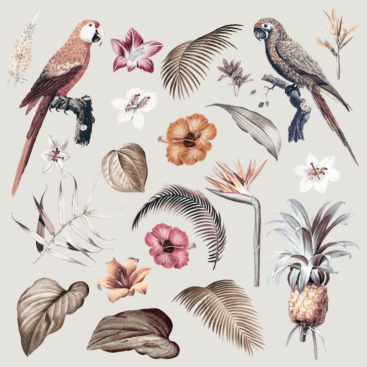 Vecteur gratuit illustration de feuillage ara