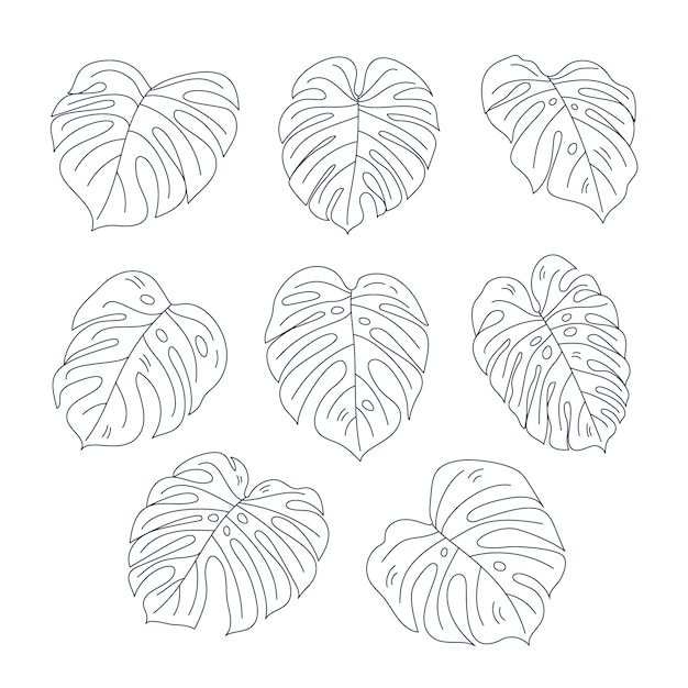 Vecteur gratuit illustration de feuille de monstera dessinée à la main