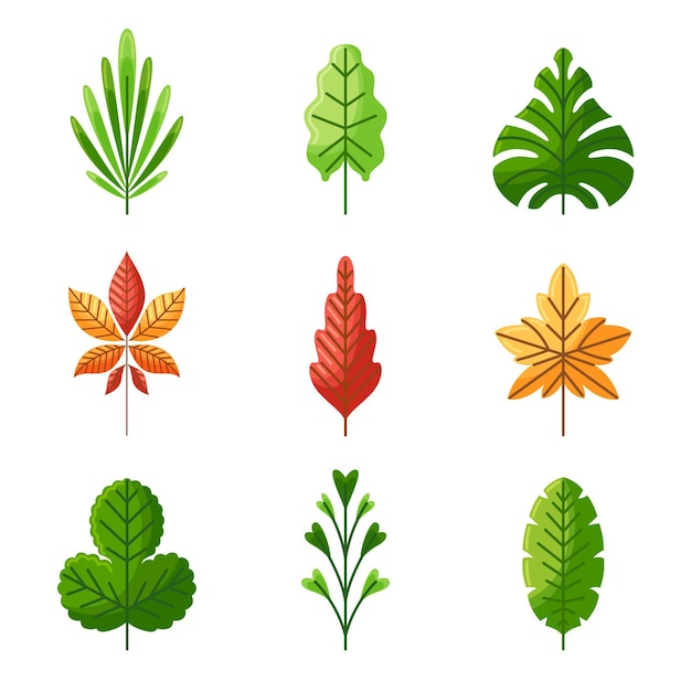 Illustration De Feuilles Dessinées à La Main