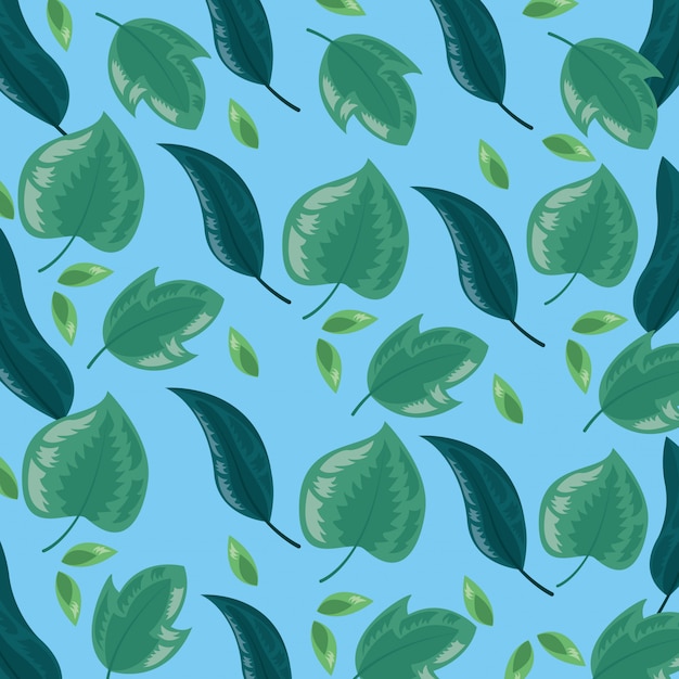 Vecteur gratuit illustration de feuilles tropicales