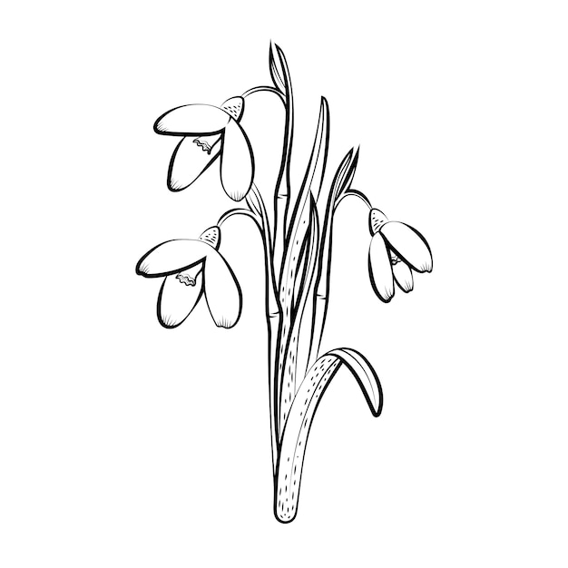 Illustration de fleur design plat dessiné à la main