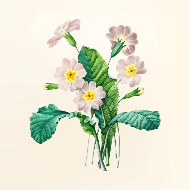 Illustration de fleur vintage