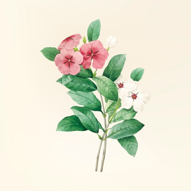 Illustration de fleur vintage