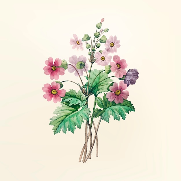 Illustration de fleur vintage