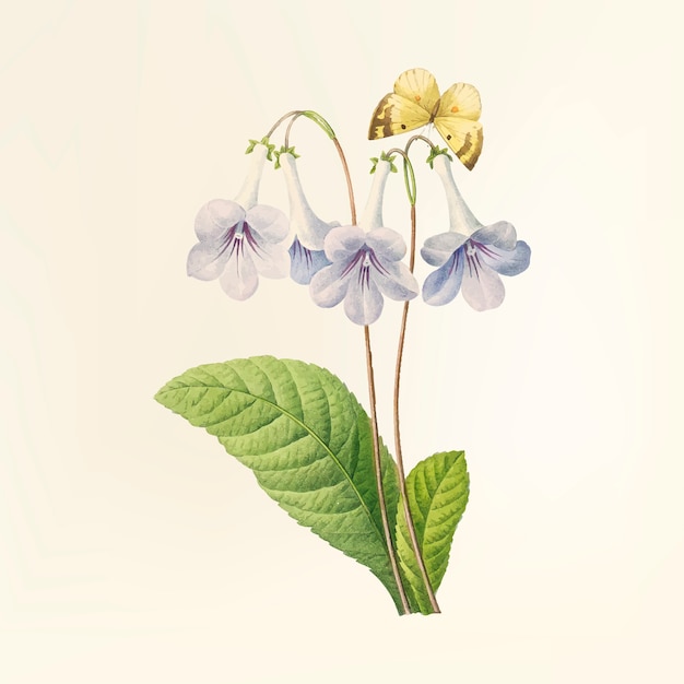 Illustration de fleur vintage