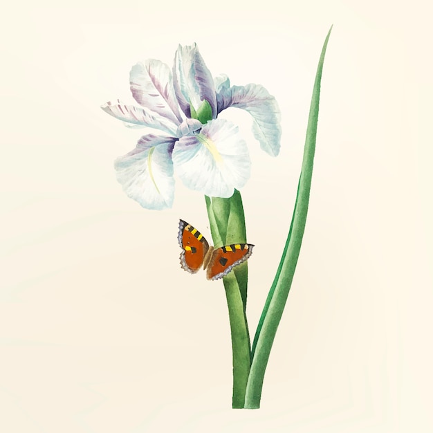 Illustration de fleur vintage