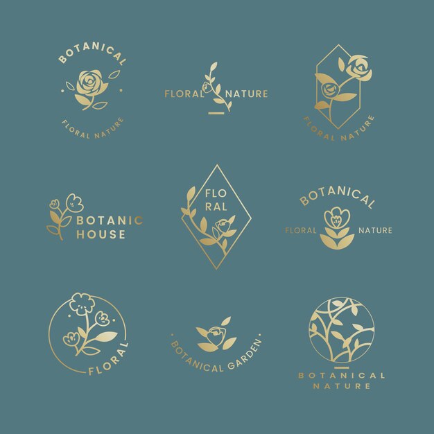 Illustration florale botanique