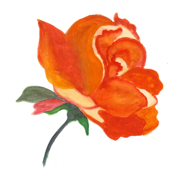 Illustration de fond aquarelle orange élément fleur abstraite haute résolution Photo gratuite