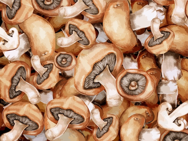 Illustration De Fond De Champignons Brun Clair