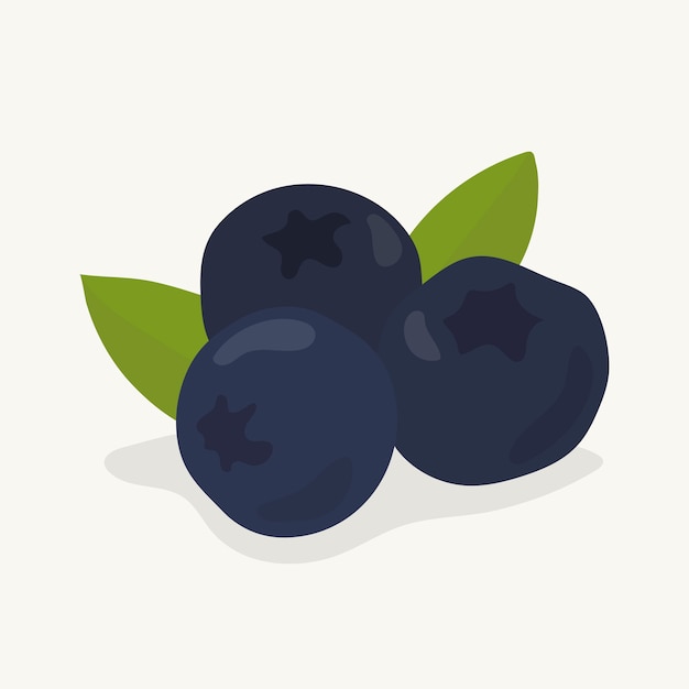 Illustration De Fruits Bleuet Dessinés à La Main