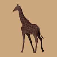Vecteur gratuit illustration de girafe design plat