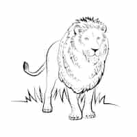 Vecteur gratuit illustration de lion dessiné à la main