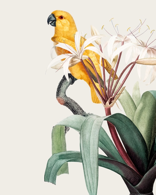 Illustration de Macaw tropical