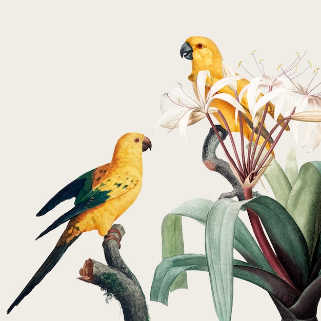 Vecteur gratuit illustration de macaw tropical