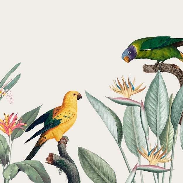 Illustration de Macaw tropical