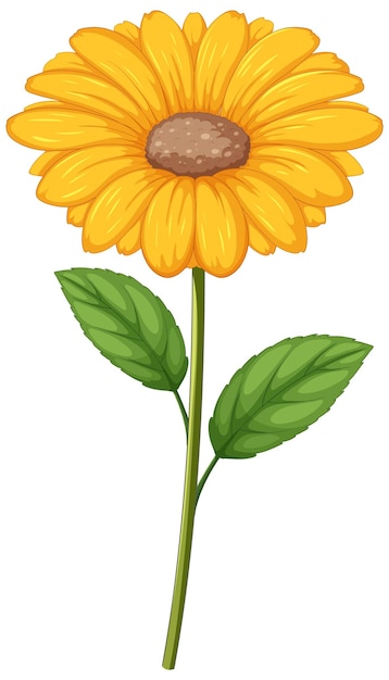 Vecteur gratuit illustration de la marguerite gerbera jaune vif