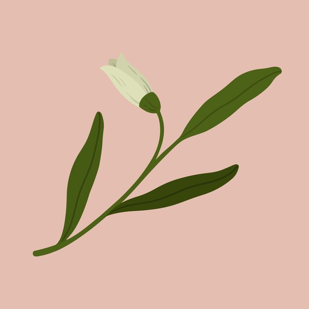Illustration de modèle d'annonces sociales de fleur blanche botanique