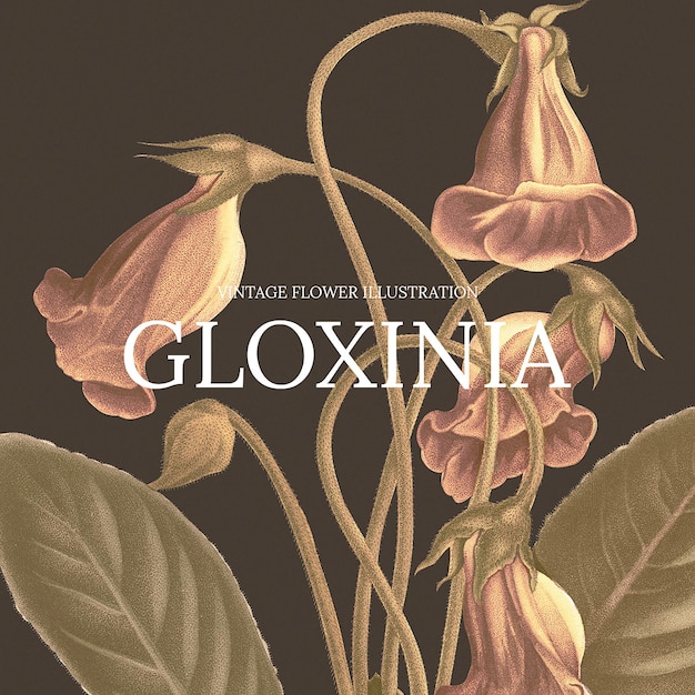 Vecteur gratuit illustration de modèle floral vintage avec fond gloxinia, remixé à partir d'œuvres d'art du domaine public