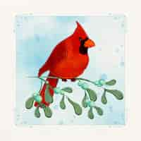 Vecteur gratuit illustration d'oiseau cardinal aquarelle