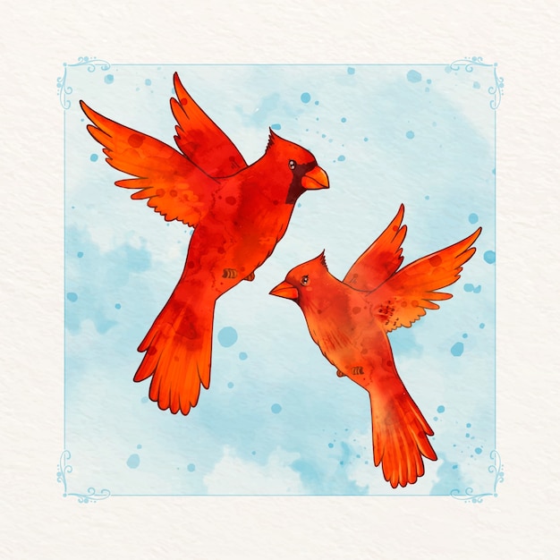 Vecteur gratuit illustration d'oiseau cardinal aquarelle