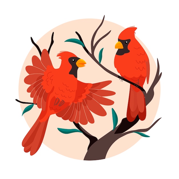 Illustration d'oiseau cardinal design plat