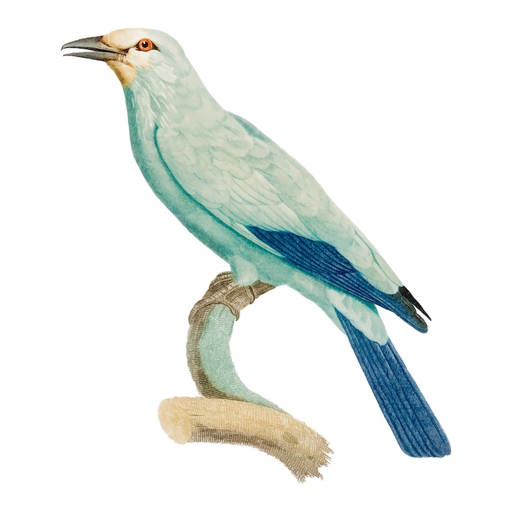 Vecteur gratuit illustration d'oiseau vintage