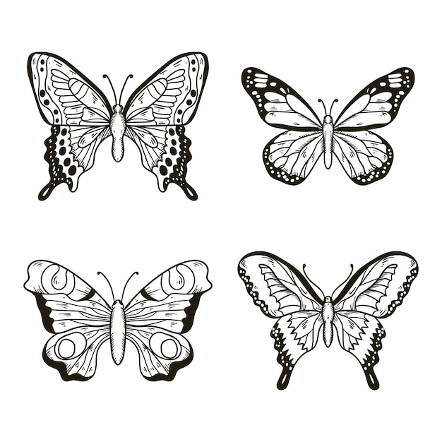 Vecteur gratuit illustration de papillon dessinée à la main