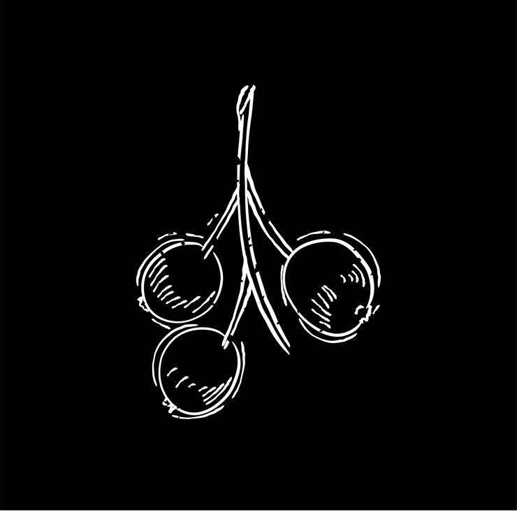Vecteur gratuit illustration de la plante