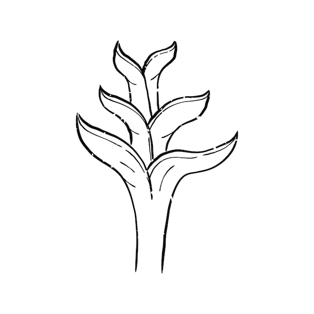 Vecteur gratuit illustration de la plante