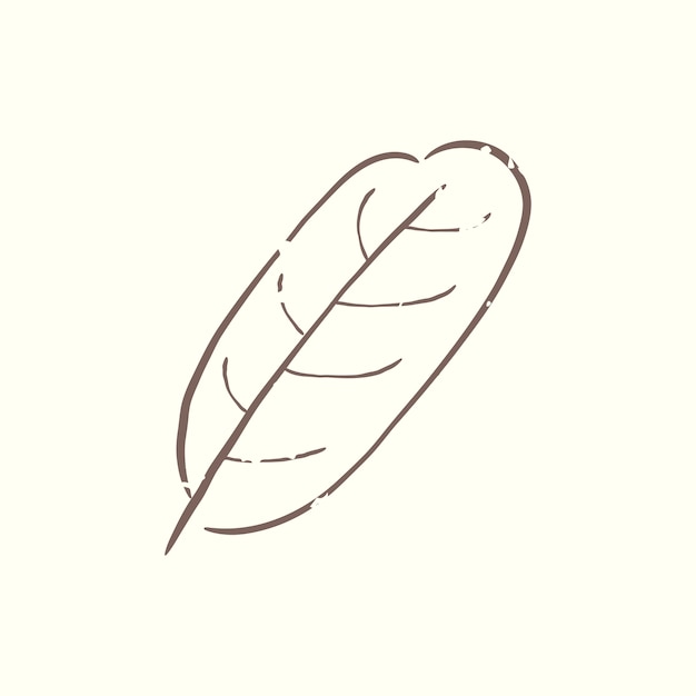 Illustration de la plante