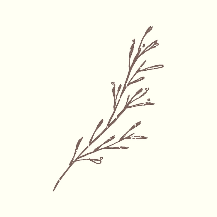 Vecteur gratuit illustration de la plante
