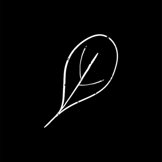 Illustration De La Plante