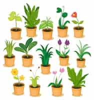 Vecteur gratuit illustration de plantes et de fleurs en pot