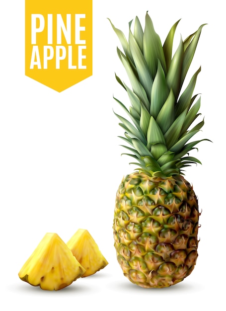 Illustration réaliste d'ananas